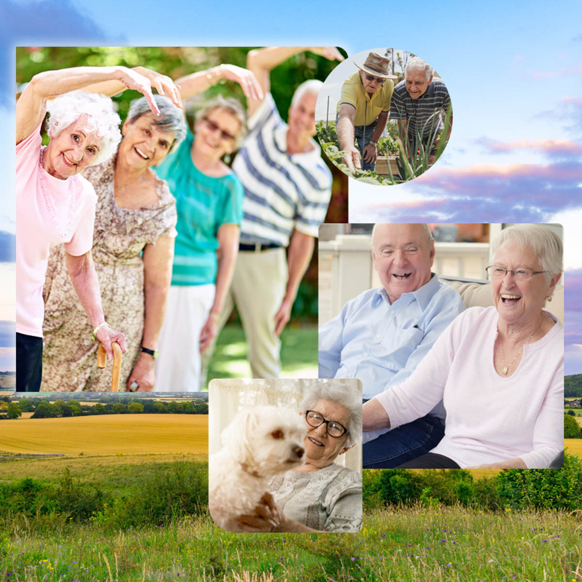 Apple Valley Place Of Osage - Amenities Overview